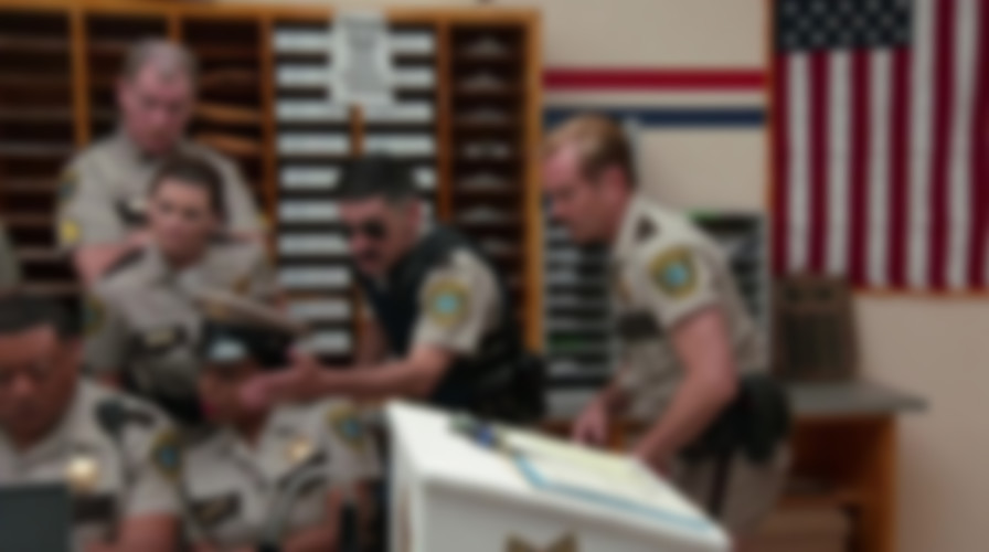 Reno 911!: The Hunt for QAnon backdrop