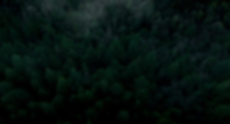 Into the Grizzly Maze backdrop