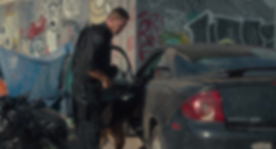 Muzzle backdrop