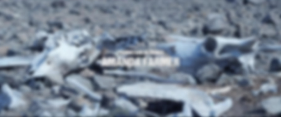 4 Horsemen: Apocalypse backdrop