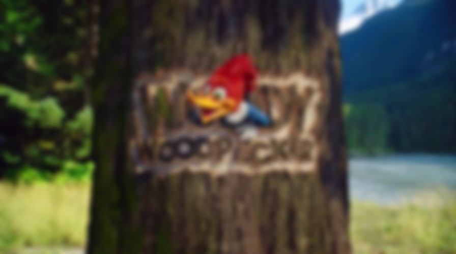 Woody Woodpecker backdrop