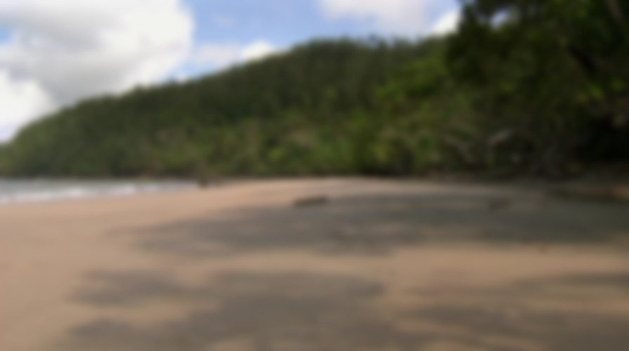 Life's A Beach backdrop