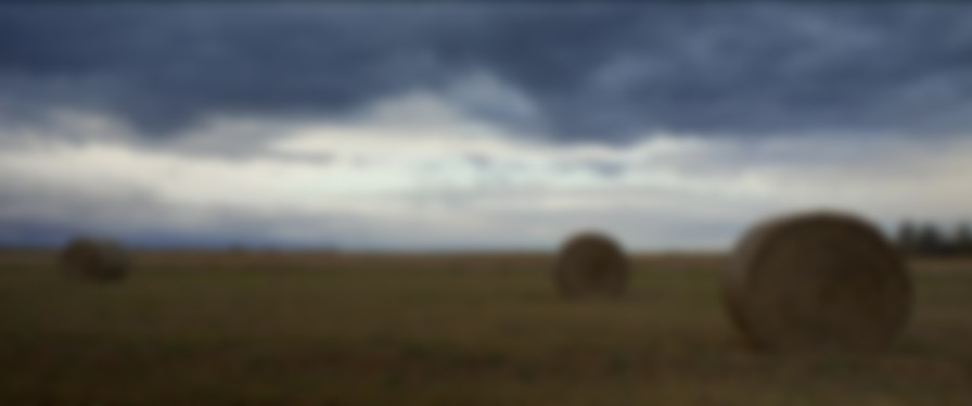 Clown in a Cornfield backdrop