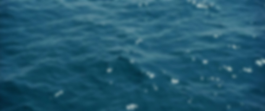 The Unknown Known backdrop