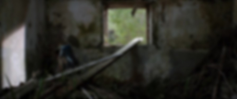 The Hallow backdrop