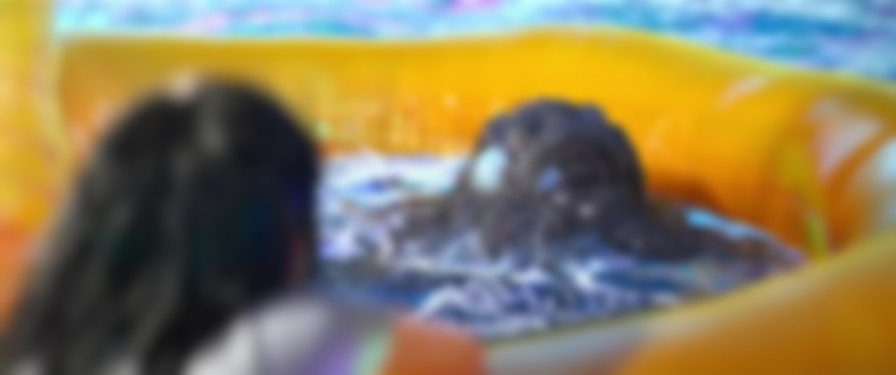 Deep Sea backdrop