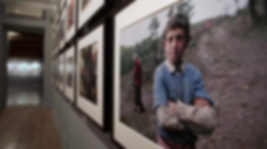 A Single Frame backdrop