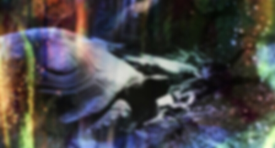 Lost in the Amazon backdrop