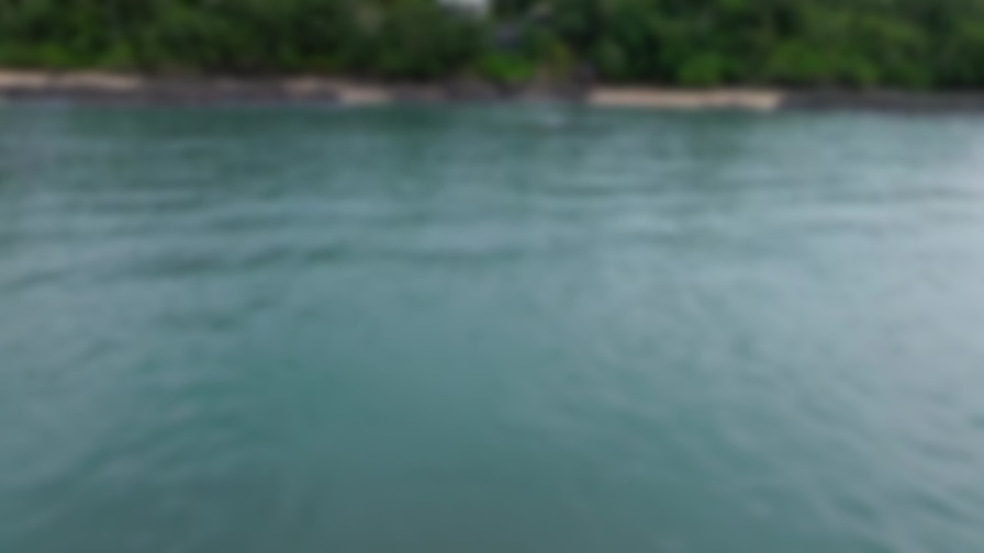 Mystery Island: Play for Keeps backdrop