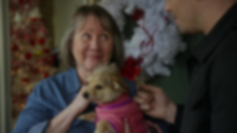 A Dogwalker's Christmas Tale backdrop