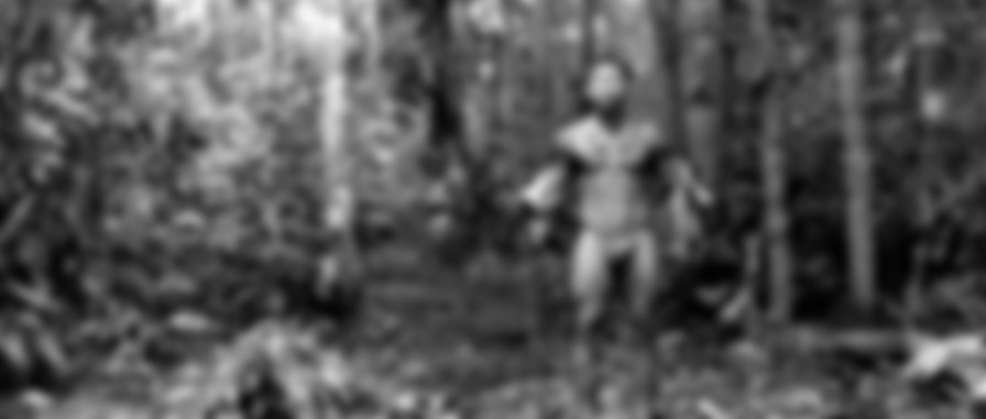 Embrace of the Serpent backdrop