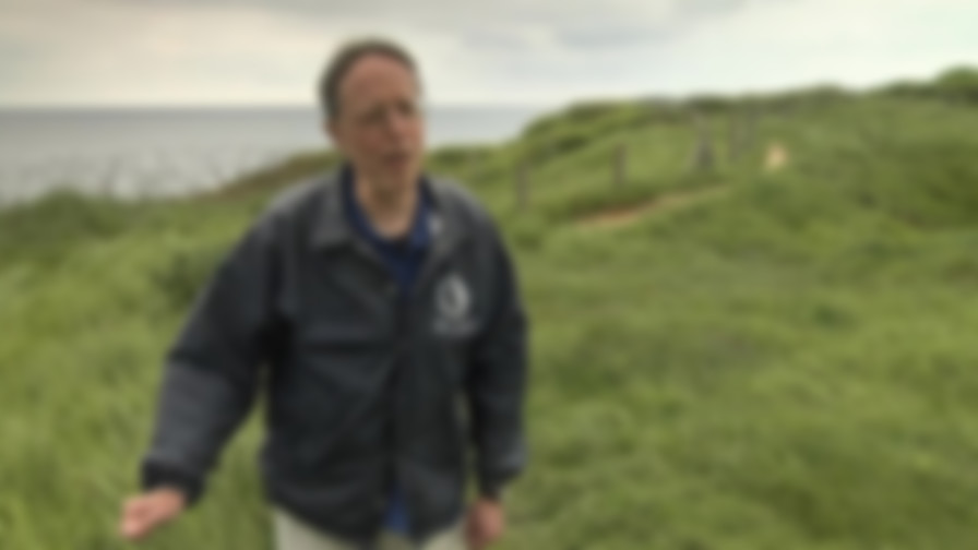 Omaha Beach, Honor and Sacrifice backdrop