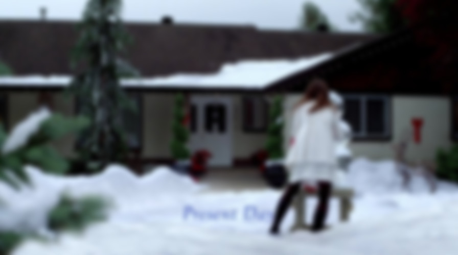 Ice Sculpture Christmas backdrop