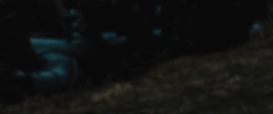 WarHunt backdrop