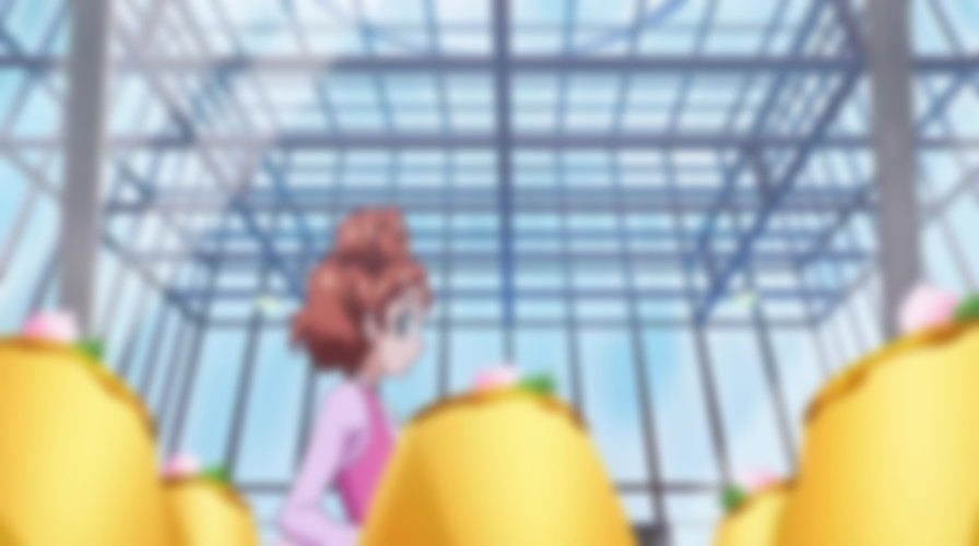 Go! Princess Pretty Cure: Go! Go!! Gouka Sanbon Date!!! backdrop