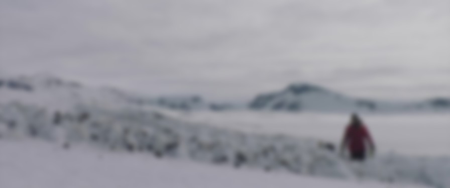 Arctic backdrop