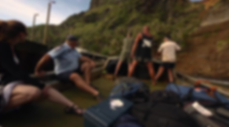 Sharks of Lost Island backdrop