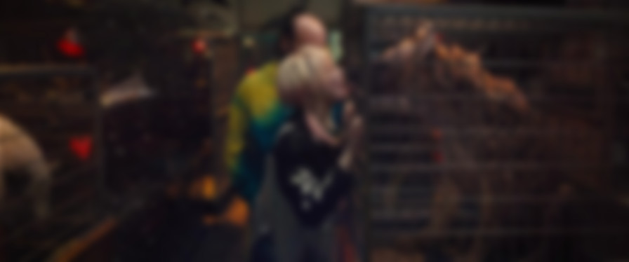 Birds of Prey and the Fantabulous Emancipation of One Harley Quinn backdrop